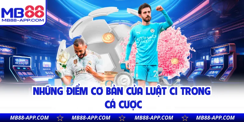 Những điểm cơ bản của luật C1 trong cá cược