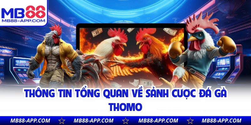 Thông tin tổng quan về sảnh cược đá gà Thomo